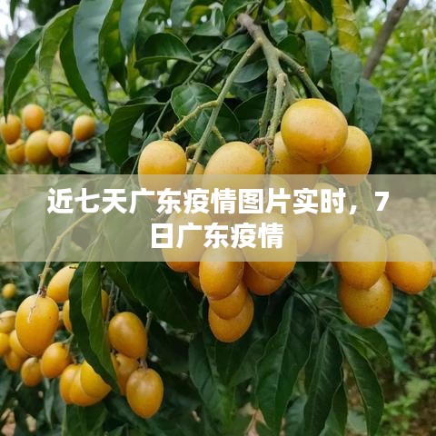 寥寥無幾 第3頁