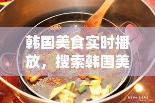 韓國美食實時播放，搜索韓國美食 