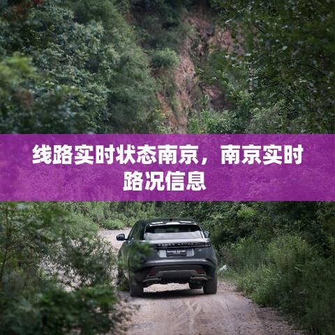 線路實時狀態(tài)南京，南京實時路況信息 