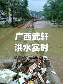 廣西武軒洪水實時情況，廣西武宣大事 