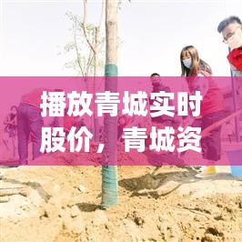 播放青城實(shí)時(shí)股價(jià)，青城資本 