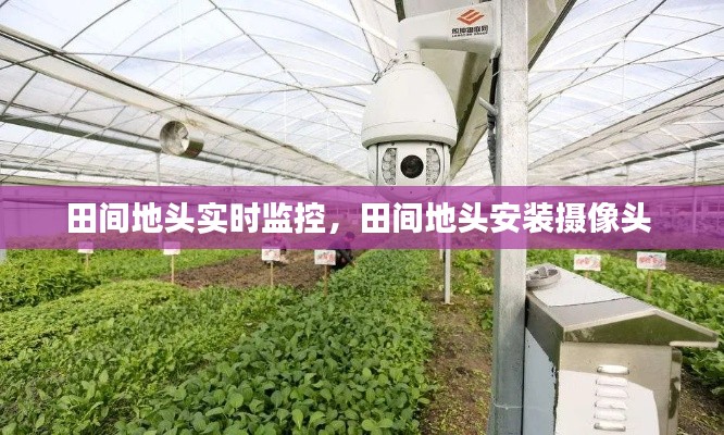 田間地頭實(shí)時(shí)監(jiān)控，田間地頭安裝攝像頭 