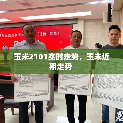 玉米2101實(shí)時(shí)走勢(shì)，玉米近期走勢(shì) 