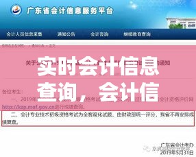 實(shí)時會計(jì)信息查詢，會計(jì)信息服務(wù)平臺 