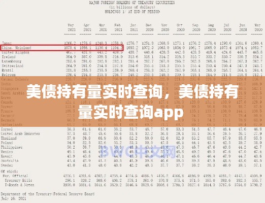 美債持有量實時查詢，美債持有量實時查詢app 