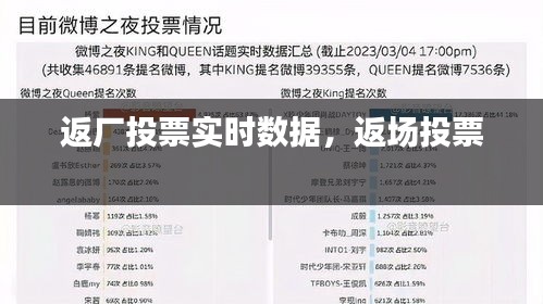 返廠投票實(shí)時(shí)數(shù)據(jù)，返場投票 