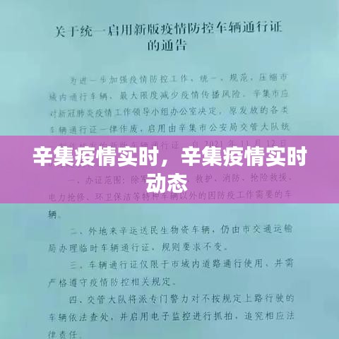 辛集疫情實(shí)時(shí)，辛集疫情實(shí)時(shí)動(dòng)態(tài) 