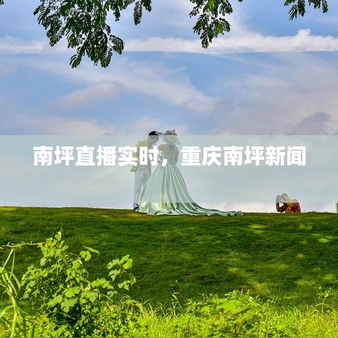 南坪直播實時，重慶南坪新聞 