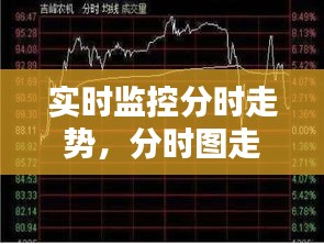 實(shí)時(shí)監(jiān)控分時(shí)走勢(shì)，分時(shí)圖走勢(shì)分析 