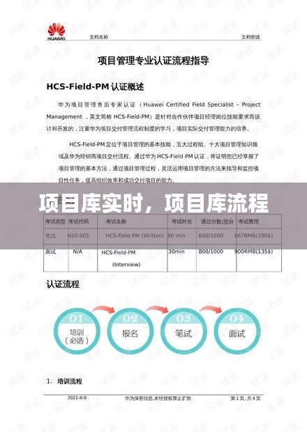 項目庫實時，項目庫流程 