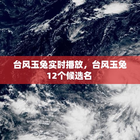 臺風(fēng)玉兔實時播放，臺風(fēng)玉兔12個候選名 