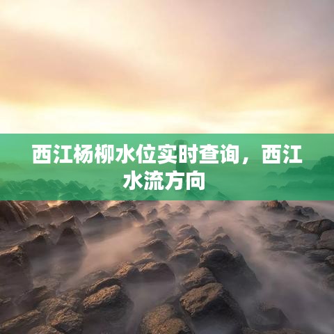 西江楊柳水位實時查詢，西江水流方向 
