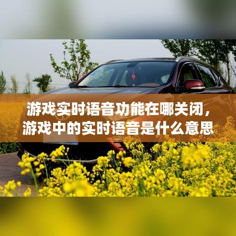 游戲?qū)崟r(shí)語音功能在哪關(guān)閉，游戲中的實(shí)時(shí)語音是什么意思 