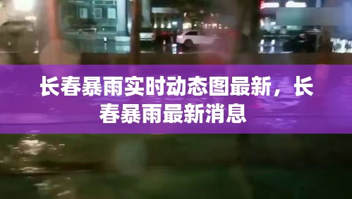 長春暴雨實(shí)時(shí)動(dòng)態(tài)圖最新，長春暴雨最新消息 