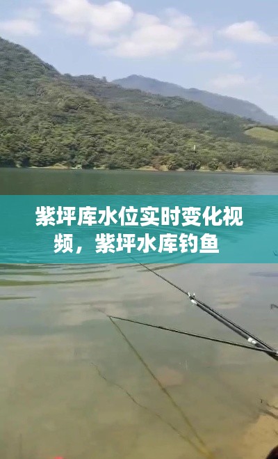 飛揚撥扈 第2頁