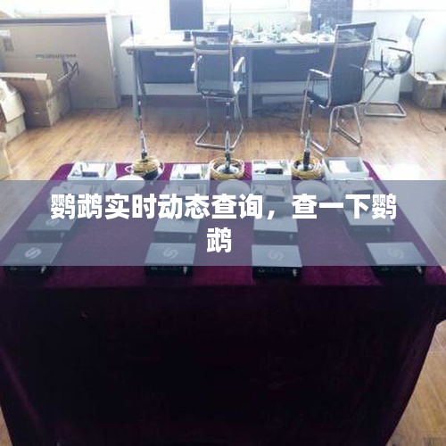 鸚鵡實(shí)時(shí)動(dòng)態(tài)查詢，查一下鸚鵡 