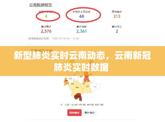 新型肺炎實時云南動態(tài)，云南新冠肺炎實時數(shù)據(jù) 