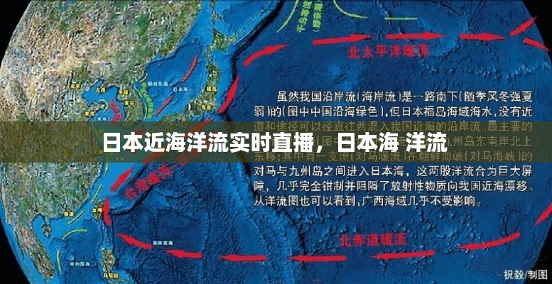 日本近海洋流實(shí)時(shí)直播，日本海 洋流 