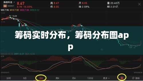 籌碼實(shí)時(shí)分布，籌碼分布圖app 