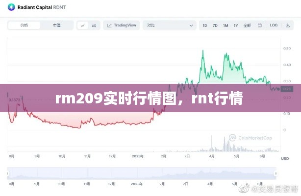 rm209實時行情圖，rnt行情 