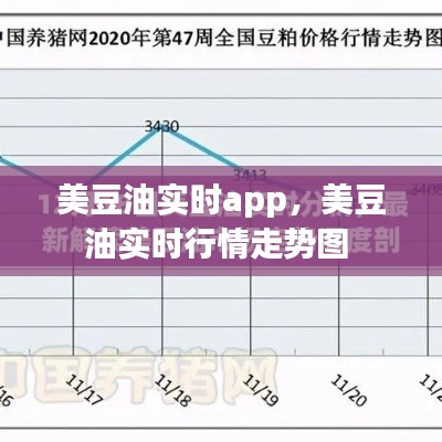 美豆油實(shí)時(shí)app，美豆油實(shí)時(shí)行情走勢圖 