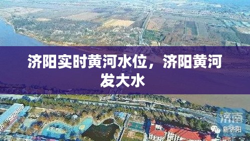 濟(jì)陽實時黃河水位，濟(jì)陽黃河發(fā)大水 
