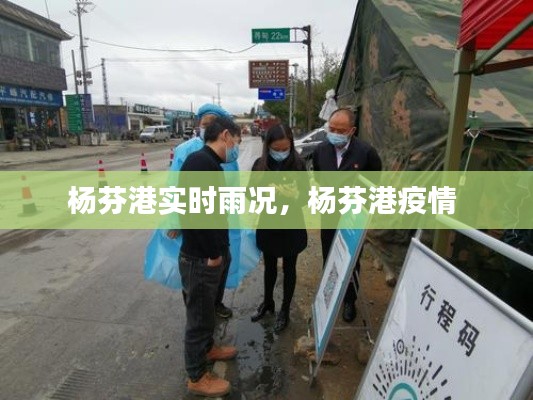 楊芬港實(shí)時(shí)雨況，楊芬港疫情 