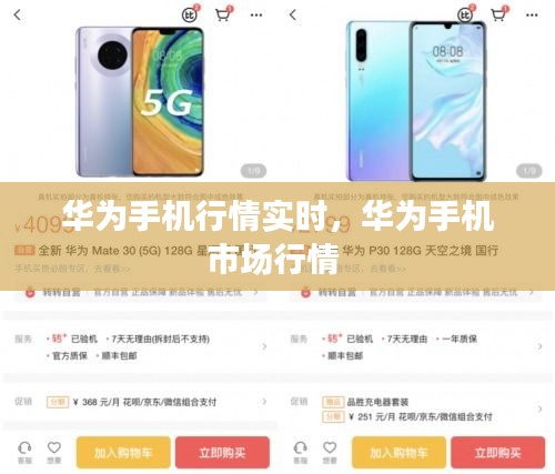 張燈結(jié)彩 第3頁