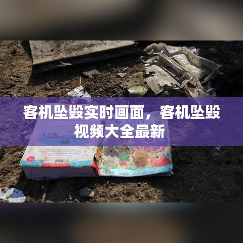 客機(jī)墜毀實(shí)時(shí)畫面，客機(jī)墜毀視頻大全最新 
