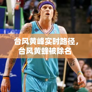 臺(tái)風(fēng)黃峰實(shí)時(shí)路徑，臺(tái)風(fēng)黃蜂被除名 