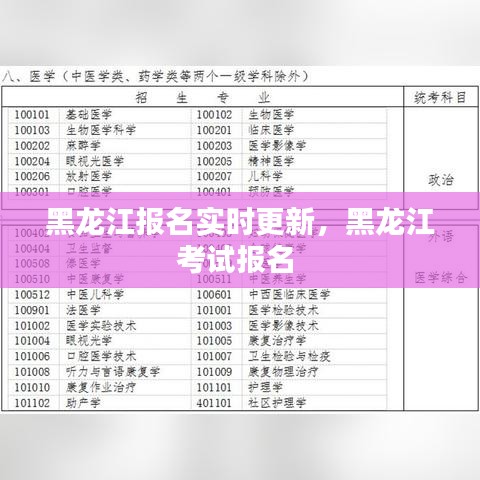 黑龍江報(bào)名實(shí)時(shí)更新，黑龍江考試報(bào)名 