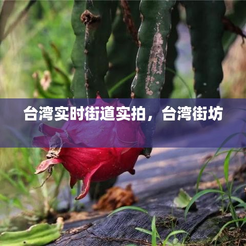 推襟送抱 第2頁