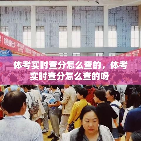 體考實(shí)時(shí)查分怎么查的，體考實(shí)時(shí)查分怎么查的呀 