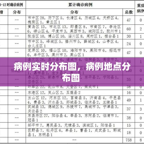 病例實(shí)時(shí)分布圖，病例地點(diǎn)分布圖 