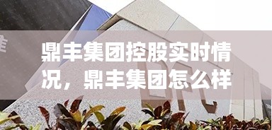 鼎豐集團控股實時情況，鼎豐集團怎么樣 
