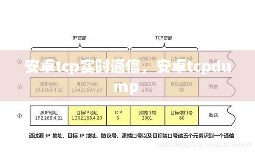安卓tcp實時通信，安卓tcpdump 