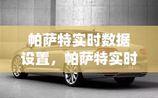 帕薩特實(shí)時(shí)數(shù)據(jù)設(shè)置，帕薩特實(shí)時(shí)數(shù)據(jù)設(shè)置方法 