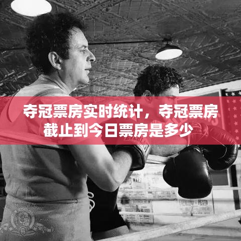 奪冠票房實(shí)時統(tǒng)計，奪冠票房截止到今日票房是多少 