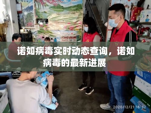 諾如病毒實(shí)時(shí)動(dòng)態(tài)查詢(xún)，諾如病毒的最新進(jìn)展 