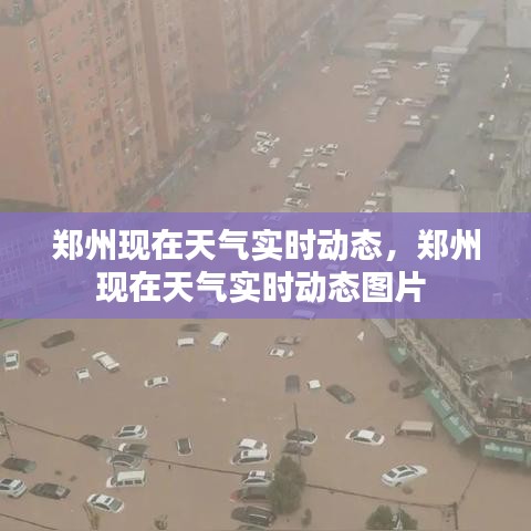 鄭州現(xiàn)在天氣實時動態(tài)，鄭州現(xiàn)在天氣實時動態(tài)圖片 