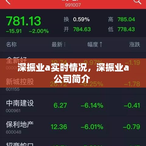 深振業(yè)a實(shí)時(shí)情況，深振業(yè)a公司簡(jiǎn)介 