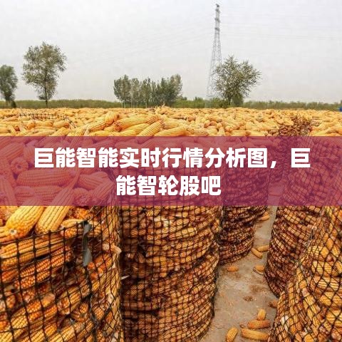 巨能智能實時行情分析圖，巨能智輪股吧 