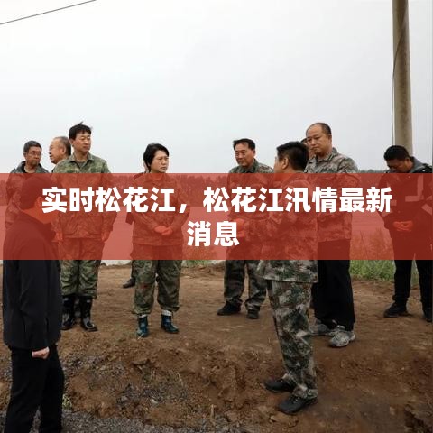 實(shí)時(shí)松花江，松花江汛情最新消息 