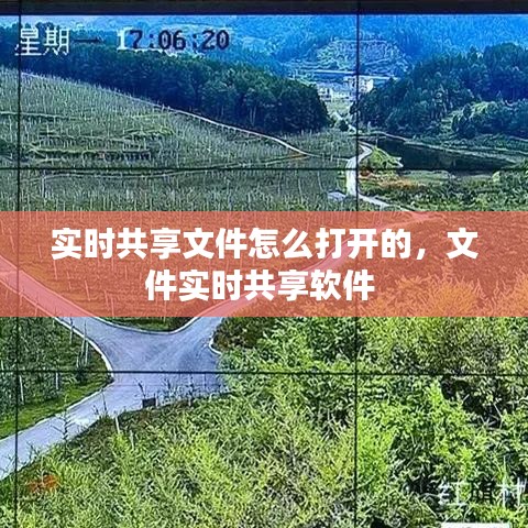 實時共享文件怎么打開的，文件實時共享軟件 