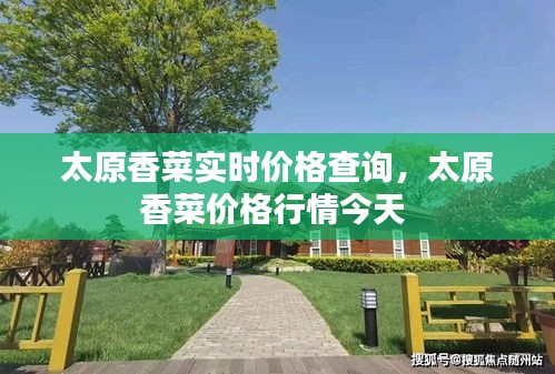 太原香菜實時價格查詢，太原香菜價格行情今天 