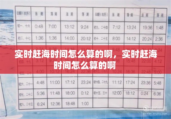 實時趕海時間怎么算的啊，實時趕海時間怎么算的啊 
