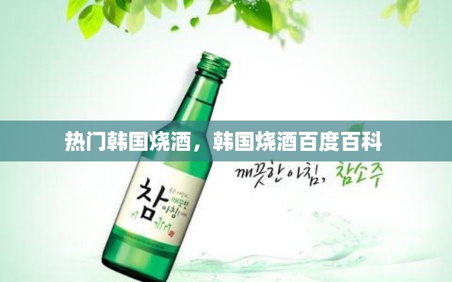熱門韓國燒酒，韓國燒酒百度百科 
