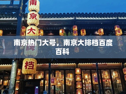 南京熱門大號，南京大排檔百度百科 