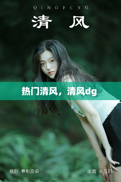 熱門清風(fēng)，清風(fēng)dg 