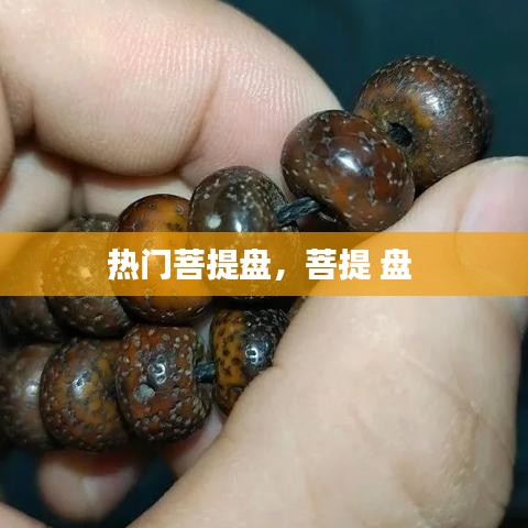 熱門菩提盤，菩提 盤 